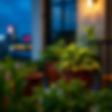 Magnificent Exploring Balcony Planters: A Comprehensive Guide to Options on Amazon Magnificent Exploring Balcony Planters: A Comprehensive Guide to Options on Amazon