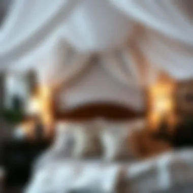 Magnificent Exploring Bed Canopy Options for Queen Beds Magnificent Exploring Bed Canopy Options for Queen Beds