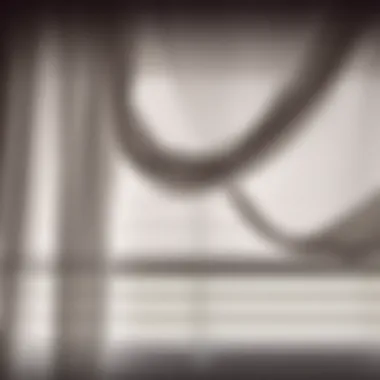 Magnificent Exploring Clips for Curtains Over Blinds Magnificent Exploring Clips for Curtains Over Blinds
