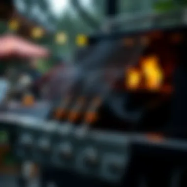 Magnificent Exploring the Grill Splatter Guard: A Comprehensive Guide Magnificent Exploring the Grill Splatter Guard: A Comprehensive Guide