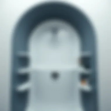 Magnificent Exploring the Utility and Aesthetics of Plastic Shelves for Shower Spaces Magnificent Exploring the Utility and Aesthetics of Plastic Shelves for Shower Spaces