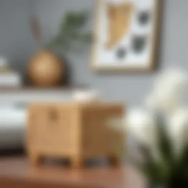 Magnificent Exploring the Versatility and Aesthetic Appeal of Small Rattan Boxes