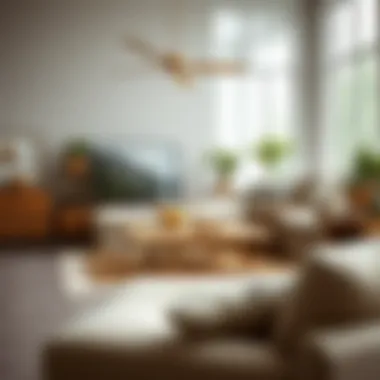 Magnificent House Delivery: Redefining Convenience in the Furniture Industry