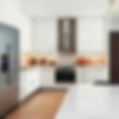 Magnificent Integrating Kitchen Cabinets and Dishwashers for Modern Kitchens Magnificent Integrating Kitchen Cabinets and Dishwashers for Modern Kitchens
