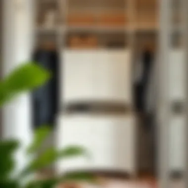 Magnificent Maximizing Space: The Role of Chest of Drawers in Closet Organization Magnificent Maximizing Space: The Role of Chest of Drawers in Closet Organization
