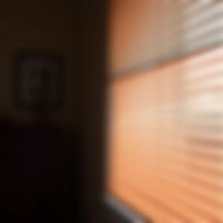Magnificent The Art of Rolling Up the Blinds: An Exploration