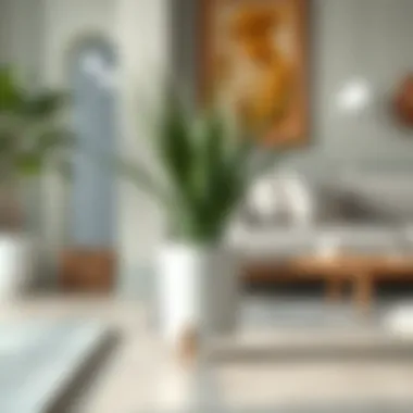 Magnificent The Comprehensive Guide to Purchasing an Aloe Vera Plant Magnificent The Comprehensive Guide to Purchasing an Aloe Vera Plant