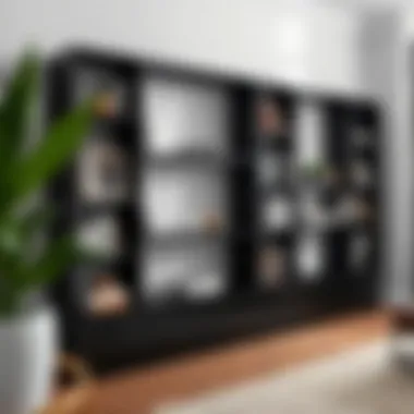 Magnificent The Design and Functionality of Slim Black Bookcases