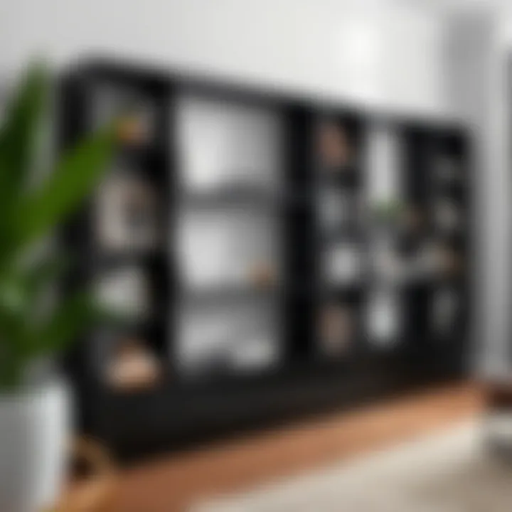 Magnificent The Design and Functionality of Slim Black Bookcases