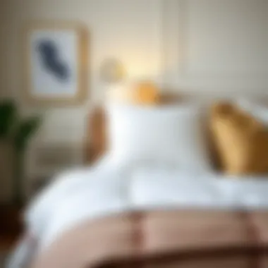 Magnificent Understanding Pillow Case Costs: A Comprehensive Analysis Magnificent Understanding Pillow Case Costs: A Comprehensive Analysis
