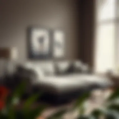 Determining the Most Comfortable Sofa Beds Summary Determining the Most Comfortable Sofa Beds Summary