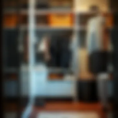 Effective Strategies for Organizing Shoes in a Small Closet Introduction Effective Strategies for Organizing Shoes in a Small Closet Introduction