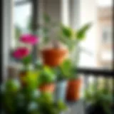 Exploring Balcony Planters: A Comprehensive Guide to Options on Amazon Introduction