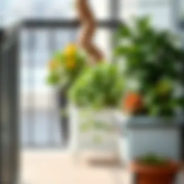 Notable Exploring Balcony Planters: A Comprehensive Guide to Options on Amazon Notable Exploring Balcony Planters: A Comprehensive Guide to Options on Amazon