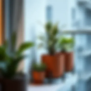 Exploring Balcony Planters: A Comprehensive Guide to Options on Amazon Summary Exploring Balcony Planters: A Comprehensive Guide to Options on Amazon Summary