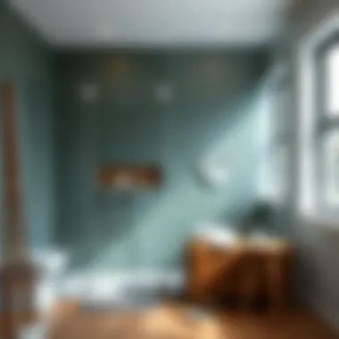 Cleaning and Maintaining Glass Partitions Maintenance of shower glass partitions with cleaning supplies