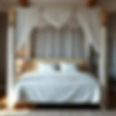 Notable Exploring Bed Canopy Options for Queen Beds Notable Exploring Bed Canopy Options for Queen Beds