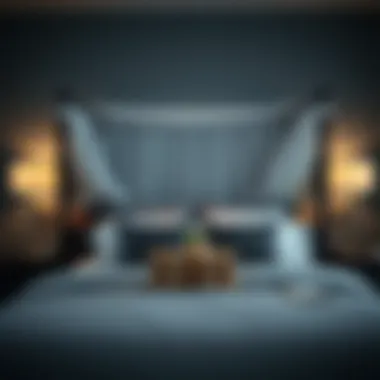 Exploring Bed Canopy Options for Queen Beds Summary Exploring Bed Canopy Options for Queen Beds Summary