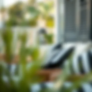 Exploring Black and White Striped Outdoor Cushions Introduction