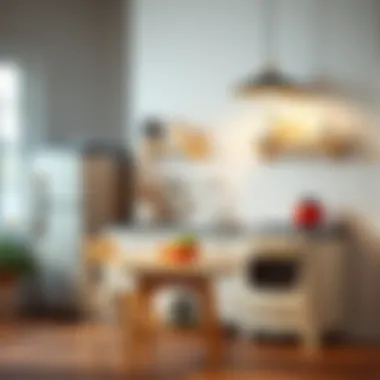 Exploring Miniature Kitchen Sets for Real Cooking: A Comprehensive Guide Summary