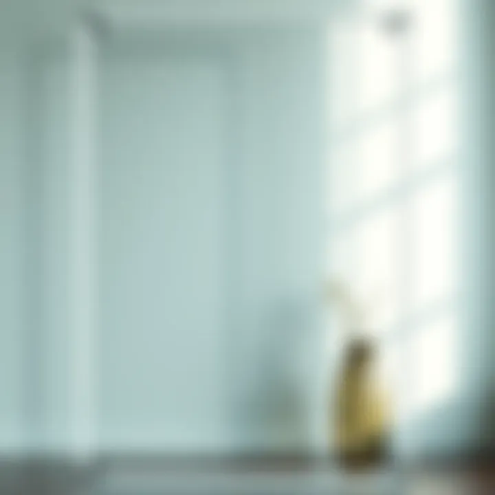 Exploring Plexiglass Poster Frames: A Comprehensive Guide Summary