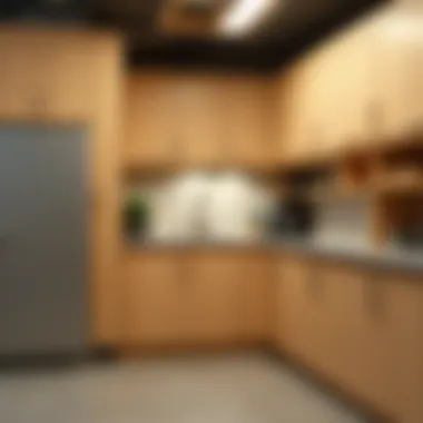Exploring Shallow Garage Cabinets: A Practical Guide for Modern Storage Solutions Summary Exploring Shallow Garage Cabinets: A Practical Guide for Modern Storage Solutions Summary