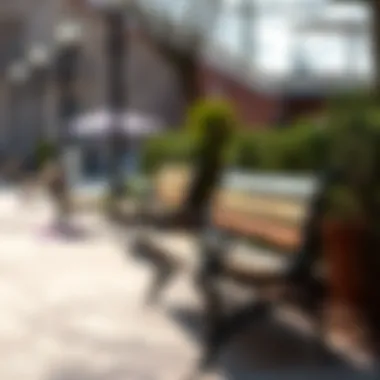 Exploring the Elegance of Patio Park Benches Summary