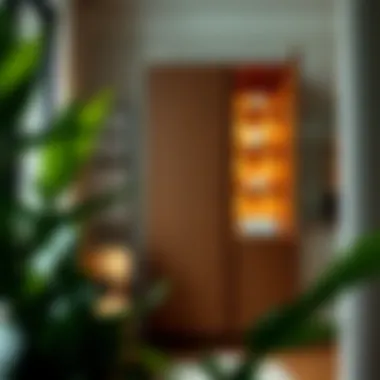 Exploring the Intricacies of Very Narrow Tall Cabinets Summary Exploring the Intricacies of Very Narrow Tall Cabinets Summary