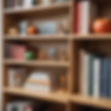 Close-up of materials used in a Montessori book display shelf