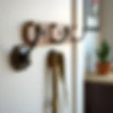 Exploring the Practicality and Design of Behind Door Coat Hooks Introduction