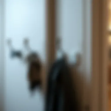 Notable Exploring the Practicality and Design of Behind Door Coat Hooks Notable Exploring the Practicality and Design of Behind Door Coat Hooks
