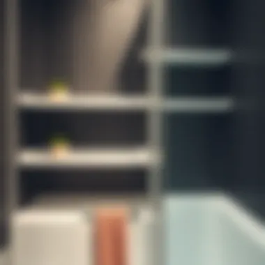 Notable Exploring the Utility and Aesthetics of Plastic Shelves for Shower Spaces Notable Exploring the Utility and Aesthetics of Plastic Shelves for Shower Spaces