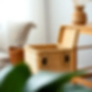 Exploring the Versatility and Aesthetic Appeal of Small Rattan Boxes Summary Exploring the Versatility and Aesthetic Appeal of Small Rattan Boxes Summary