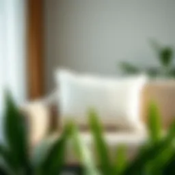 Exploring the Versatility of 12x24 Cushion Covers Introduction