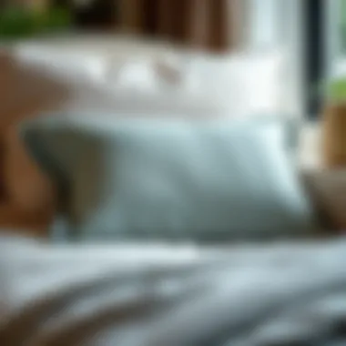 Exploring the World of Pillow Covers: A Comprehensive Guide Summary Exploring the World of Pillow Covers: A Comprehensive Guide Summary