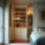 Exploring Walk-In Closet Cabinet Design: A Comprehensive Guide Introduction