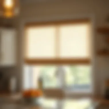 Exploring Walmart's Kitchen Blinds: A Comprehensive Guide Summary Exploring Walmart's Kitchen Blinds: A Comprehensive Guide Summary