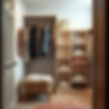 Notable How to Organize a Reach-In Closet Notable How to Organize a Reach-In Closet