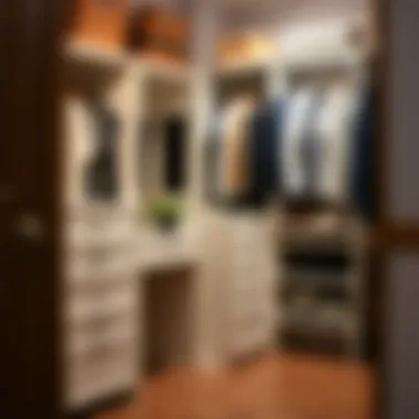 How to Organize a Reach-In Closet Summary How to Organize a Reach-In Closet Summary