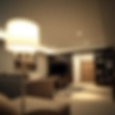 Notable Illuminating Options: The Application of LED Lights for Basement Ceilings