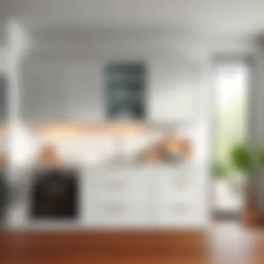 Integrating Kitchen Cabinets and Dishwashers for Modern Kitchens Summary Integrating Kitchen Cabinets and Dishwashers for Modern Kitchens Summary