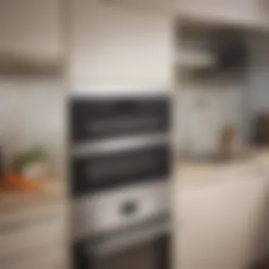 Exploring Design Variations in Cooking Appliances Interior of a dual-function appliance highlighting design variations