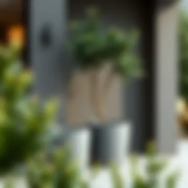 Notable Large Grey Pots for Trees: A Comprehensive Guide Notable Large Grey Pots for Trees: A Comprehensive Guide