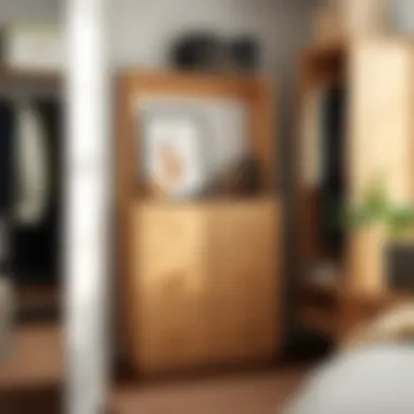 Maximizing Space: The Role of Chest of Drawers in Closet Organization Summary