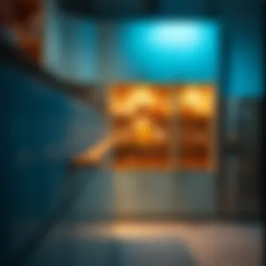 Navigating the Availability and Options for Metal Cabinets Near You Summary Navigating the Availability and Options for Metal Cabinets Near You Summary