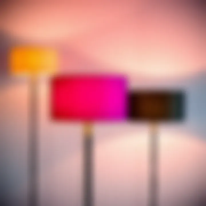 Notable The Aesthetic and Functional Aspects of Multi-Colored Standing Lamps