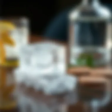 The Art and Science of Shaped Ice Cube Trays: Enhancing Beverage Aesthetics and Functionality Introduction