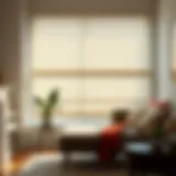 The Art of Rolling Up the Blinds: An Exploration Introduction