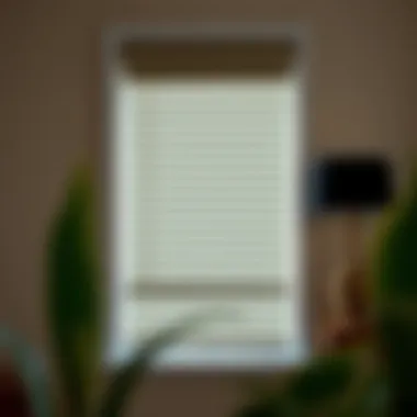Notable The Art of Rolling Up the Blinds: An Exploration