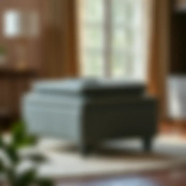 The Comprehensive Guide to Buying a Storage Ottoman Summary